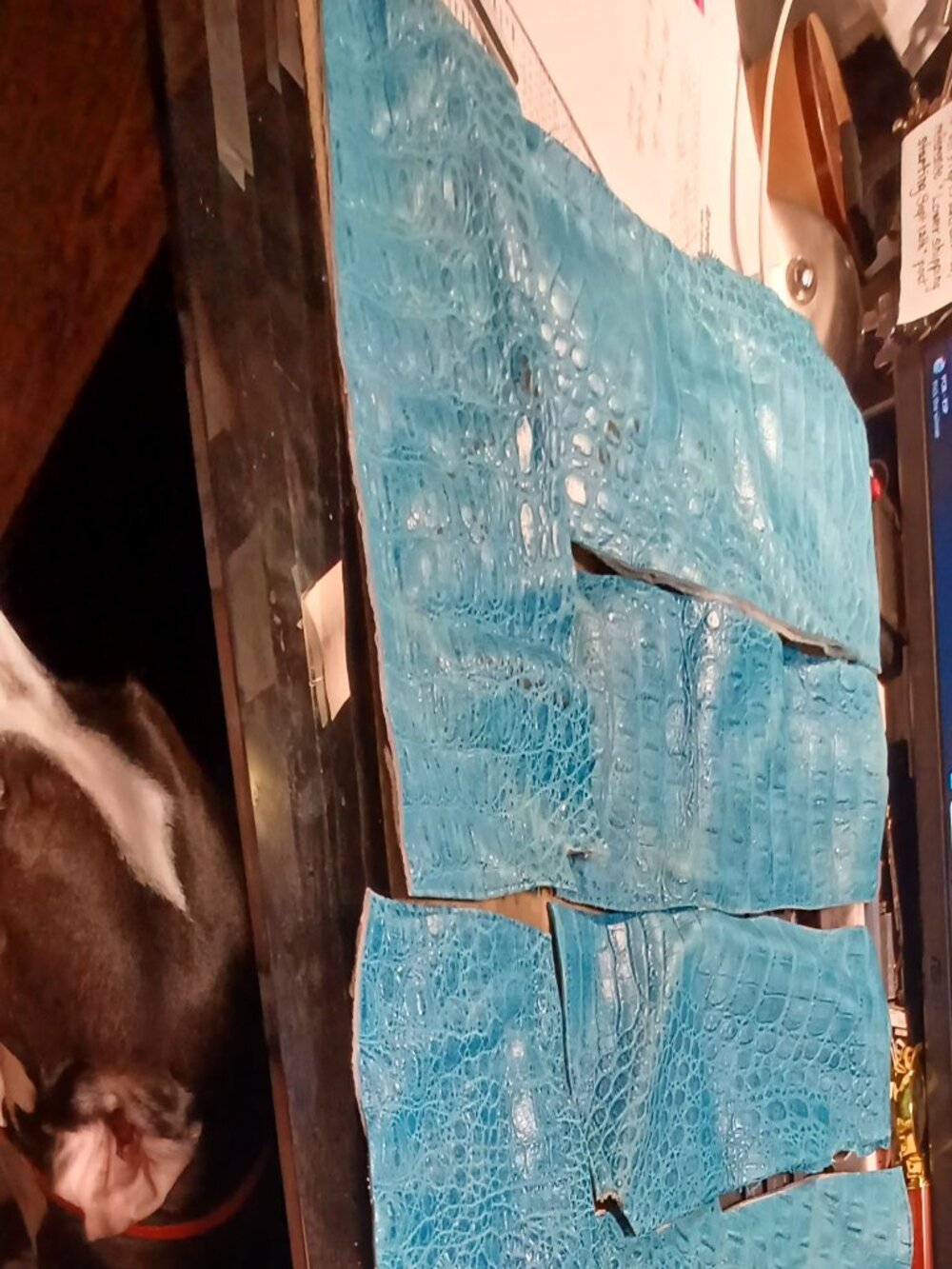 UPCYCLED Raised, High Relief Lizard /Alligator Embossed Leather Strips, lot of 6